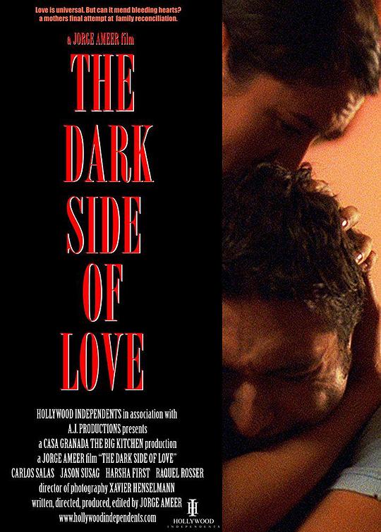 爱的阴暗面 The Dark Side of Love 2012