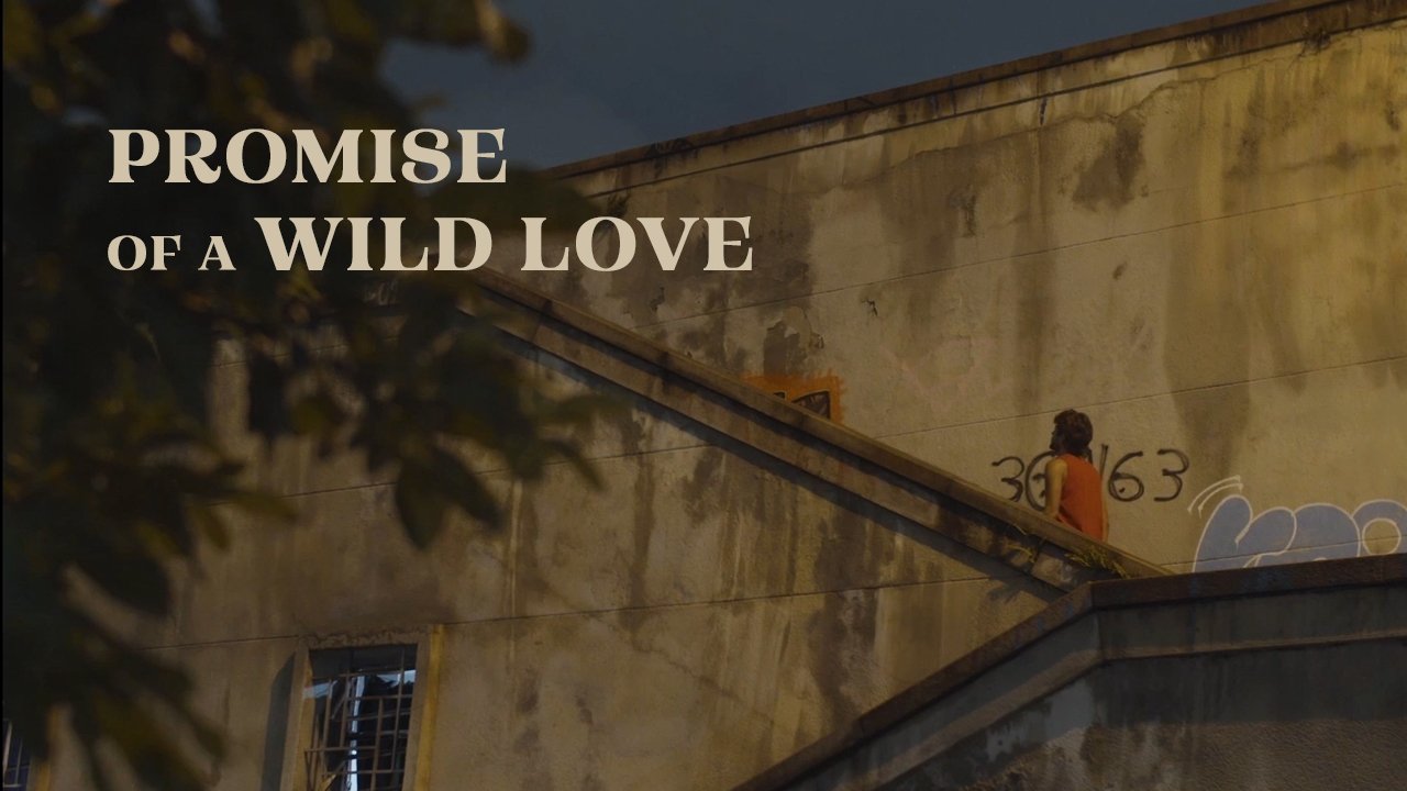 Promessa de um Amor Selvagem 狂野轮回也 2022