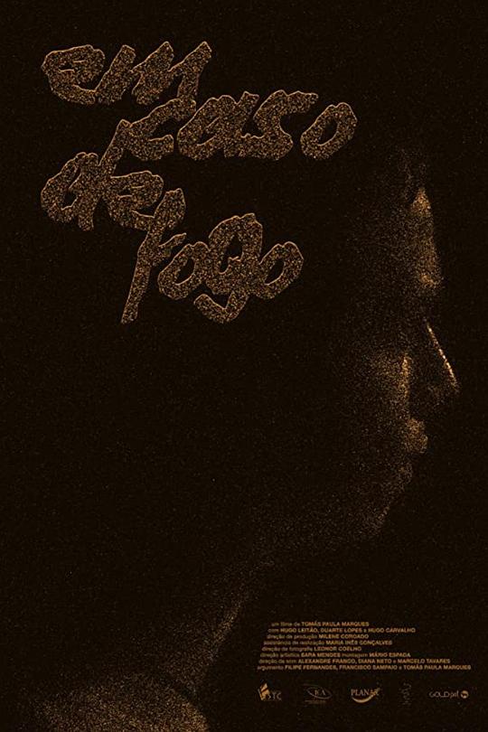 可能的山火 Em Caso de Fogo‎ 2019