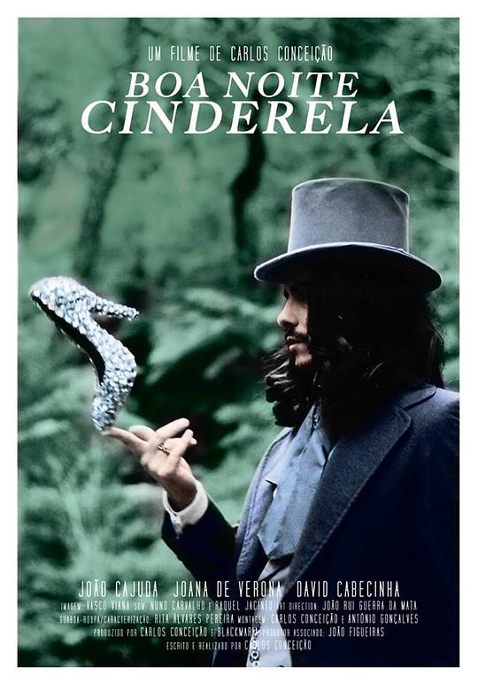 晚安，灰姑娘 2014