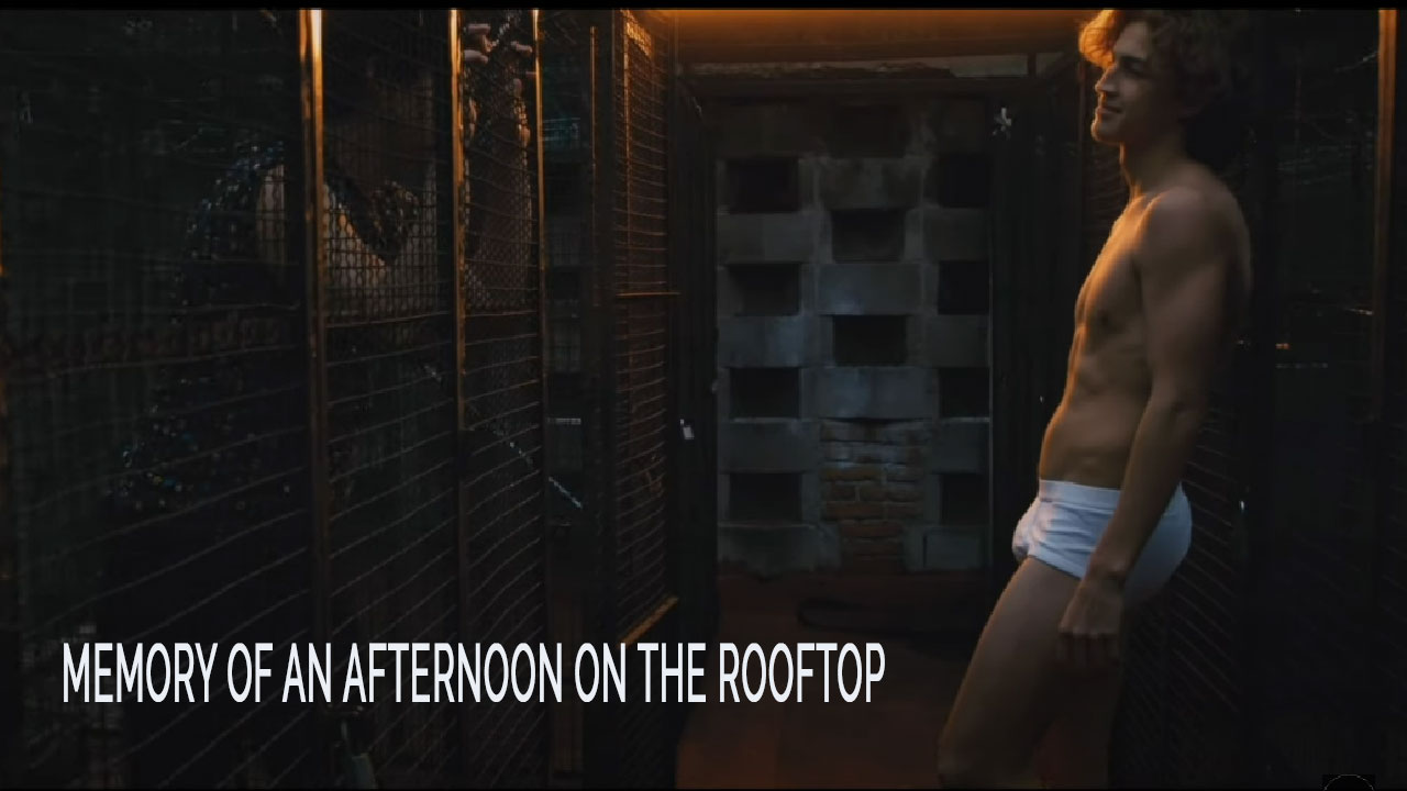 屋顶上一个下午的记忆（2022）：塔沃·鲁伊斯的短片
