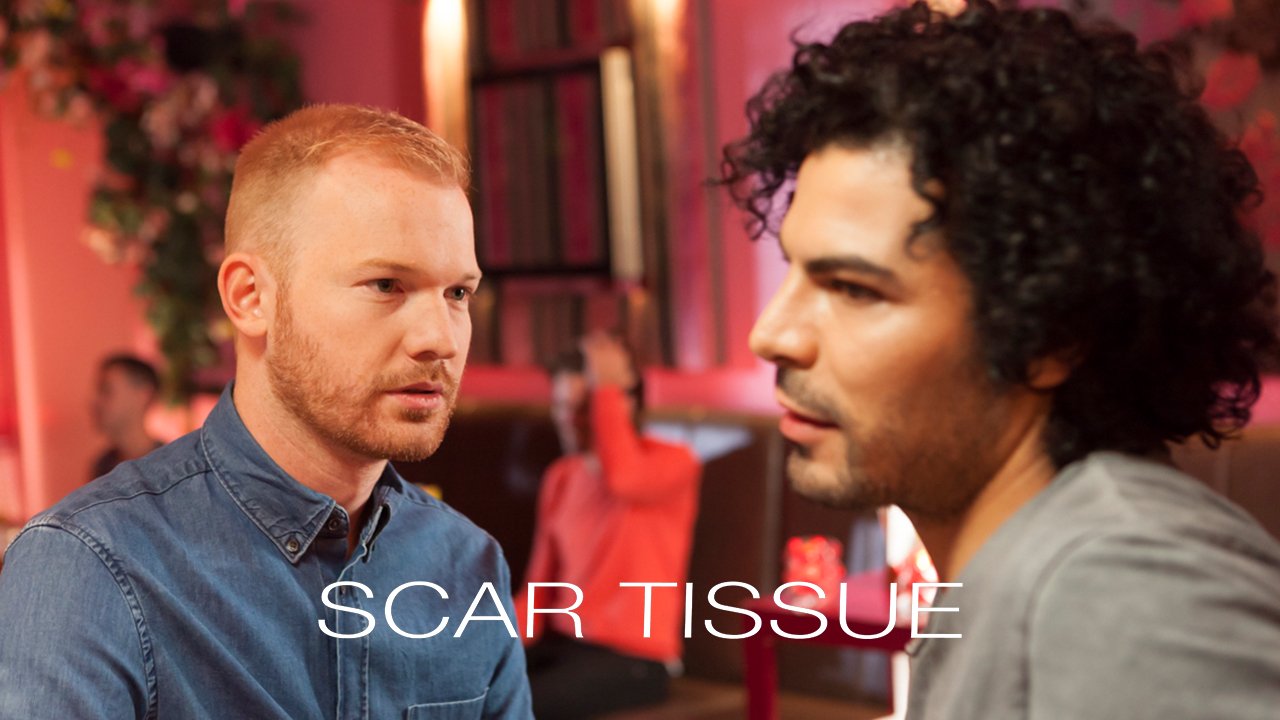 邂逅一夜情Scar Tissue