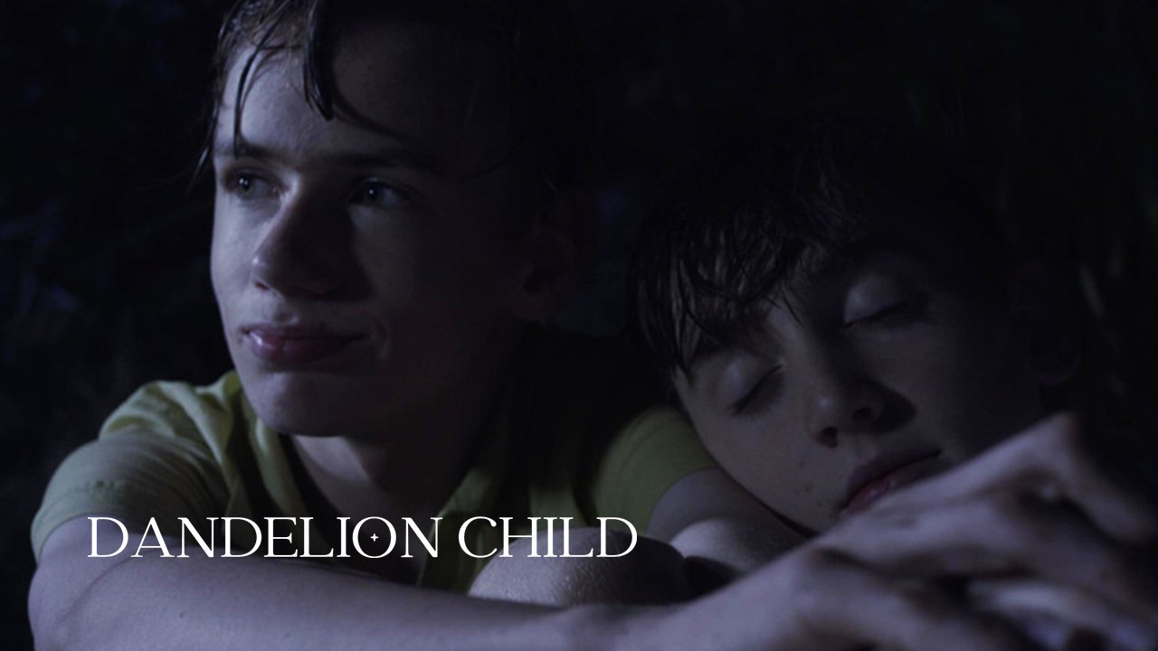 蒲公英青春 2022