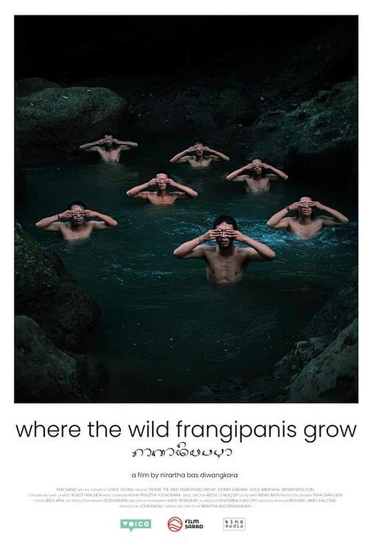 鸡蛋花开的那刻 Where the Wild Frangipanis Grow 2023