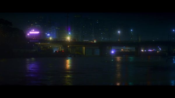 When the house lights come on 未翻译