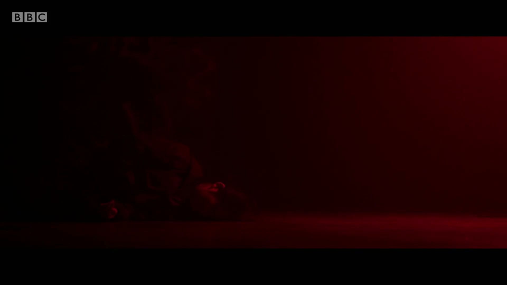 亚当的故事