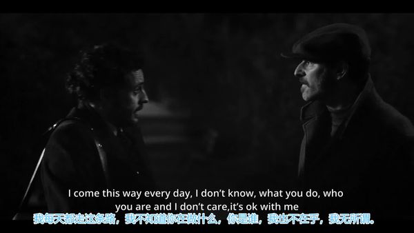 Violets (2024)